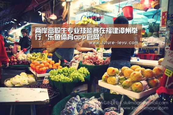 乐鱼体育app在线